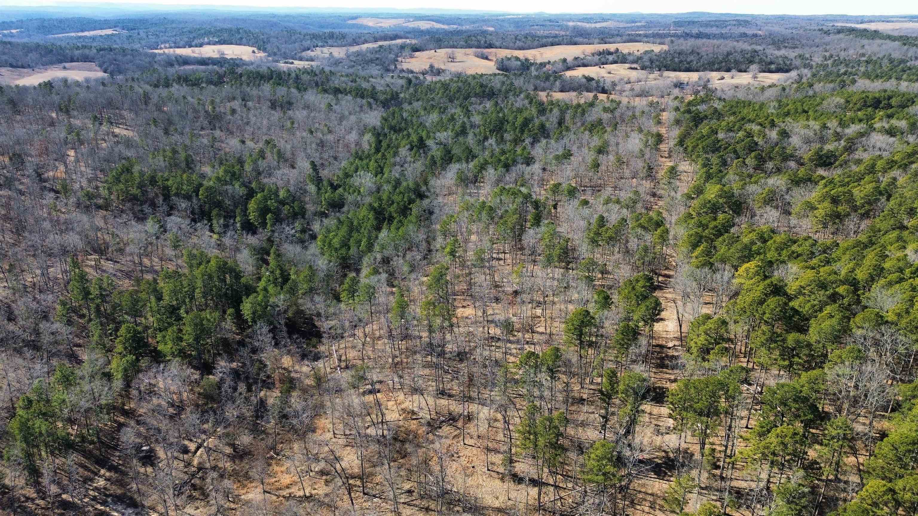 This 195-acre property is nestled deep in the rural Ozark Mountains of Wideman, Arkansas. Located just a short drive from both the White River and Norfork Lake, this acreage offers endless opportunities for hunting, hiking, and off-grid living. Designed with the outdoor enthusiast in mind, this recreational land features approximately 6 miles of established trails that go through the property, making it ideal for ATV riding, hiking, and exploring. With a mix of wooded terrain and some cleared areas, the land is perfectly suited for hunting and includes numerous food plot locations along with a fire break surrounding the perimeter. A large pond and a seasonal creek provide natural water sources, while a concrete spring box adds additional utility. Adding to the charm is a rustic 24x20 one-room cabin equipped with solar lighting and a cozy wood stoveāoffering the ultimate off-grid getaway experience. Whether you're looking for a recreational retreat, private hunting land, or a place to escape to the countryside, this property delivers. Listed for $390,000.