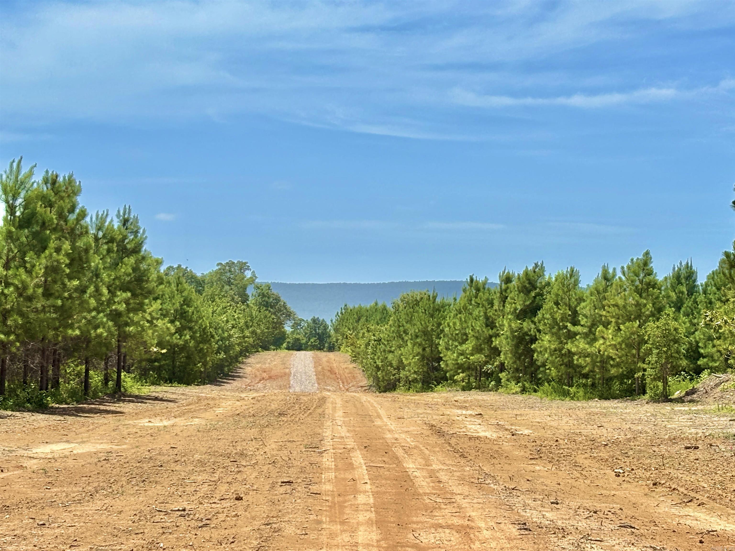 Lake Avalon Estates - Land