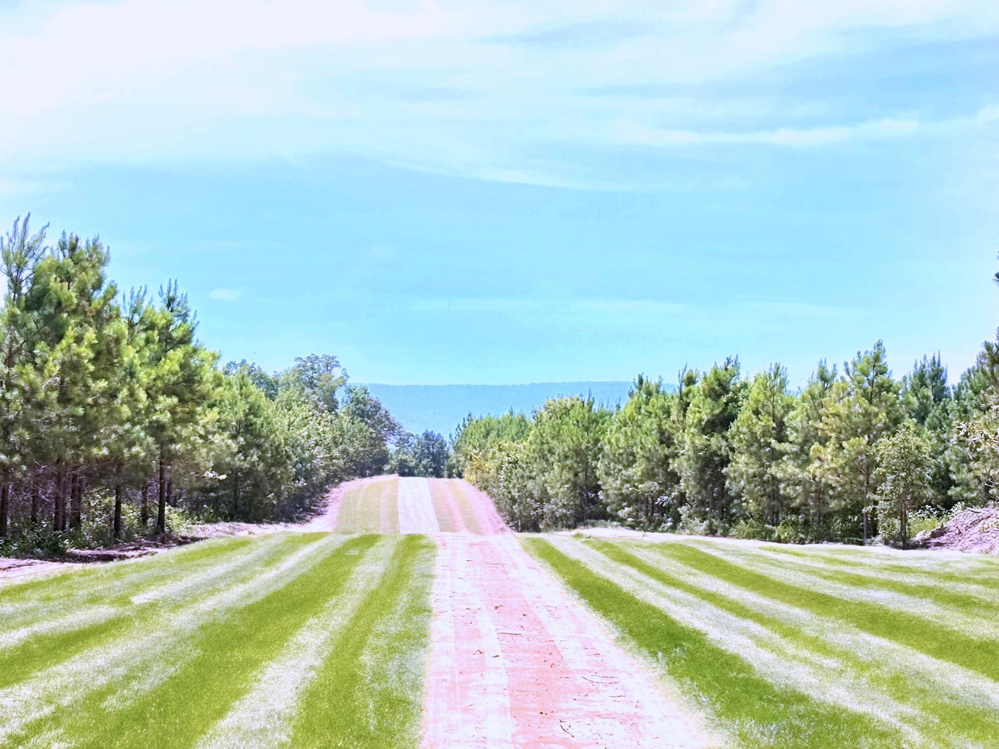 Lake Avalon Estates - Land