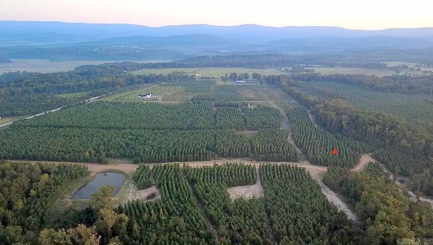 Now selling in Avalon Lake Estates – a brand-new 55+ gated community designed for peaceful, rural living! These scenic vacant lots offer stunning mountain views just minutes from town. Perfect for those looking to build a quiet getaway or retirement home surrounded by nature. A private lake is planned for future enjoyment, and the gated entry will offer privacy and security. Affordable opportunity to invest early in a growing development with long-term vision. Come be part of something special at Avalon Lake Estates! Planned HOA, not yet estabished.  Tract 11 offers elevated views and unmatched natural beauty! With future frontage of Avalon Lake and quiet surroundings, this lot is ideal for your new home. 3.2 acres to be surveyed.