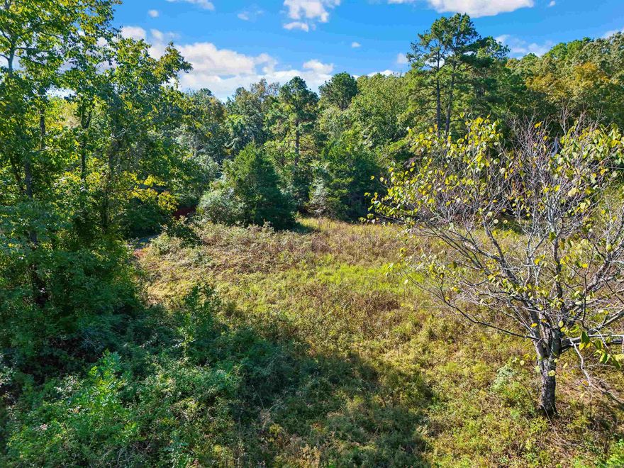 2.91 acres +/- for you to build your dream home! Mature trees at back with a clearing at the front. Easy access to Old Military Road. Close to all Conway has to offer! Septic system on property - condition unknown. Utilities at road. See video link for aerial drone footage.