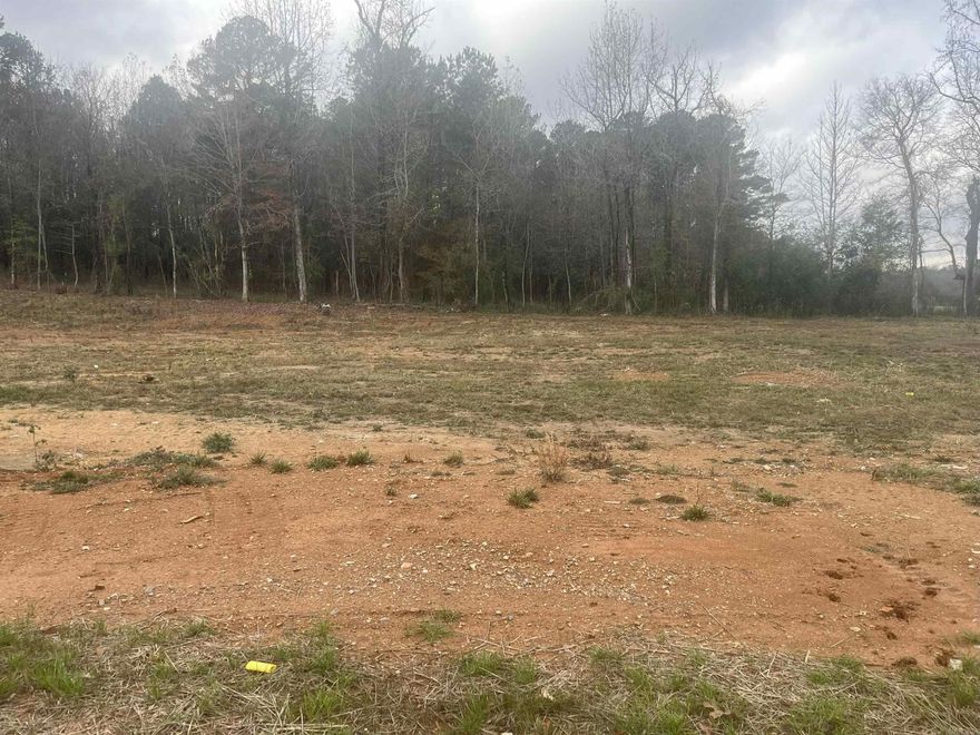 New lots in Creekside Subdivision. Best location in Bryant. Mostly cleared and ready to build. Plat and Bill of Assurance in docs. New street, address will not GPS. Use 6150 Creekwater, Alexander, AR.