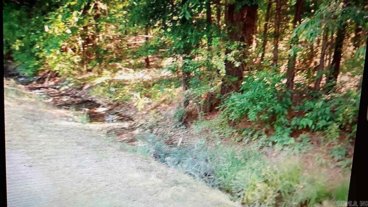 Just over half of an acre, outside of Pine Bluff! 6 LOTS READY FOR YOUR IDEAS. MOBILE HOMES WELCOME, OR BUILD YOUR DREAM HOME. THERE IS A WELL ON THE PROPERTY, Located JUST OUTSIDE OF PINE BLUFF. OWNER READY TO MAKE A DEAL!!!! See remarks. Measuring is welcome.