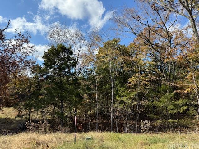 SUMMERLYN SUBDIVISION - Land