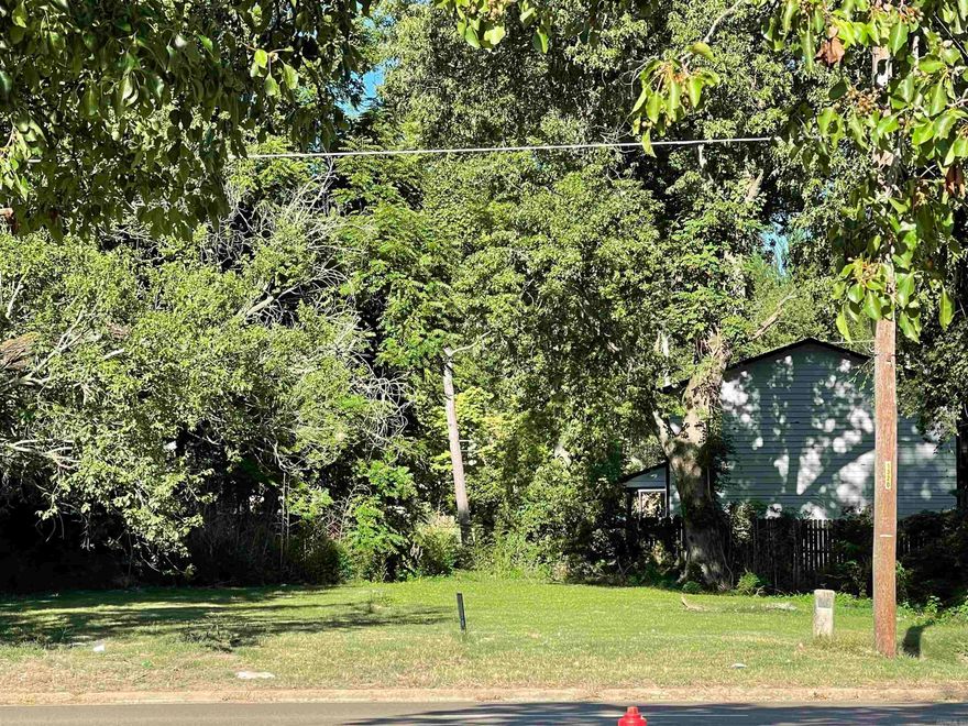 This lot is across the street from the Forrest City Civic Center.