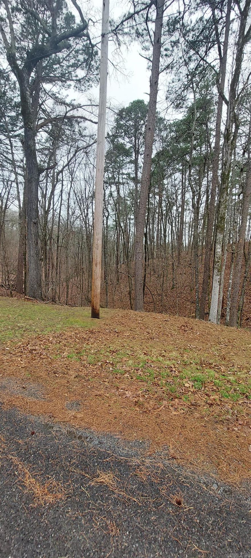 Great wooded lot in the awesome Diamondhead Resort Community. This lot is a great size, just under an acre, and it is close to the lake, golf courses, shopping, and restaurants. If you decide to build a home, the minimum sq ft is 1200.