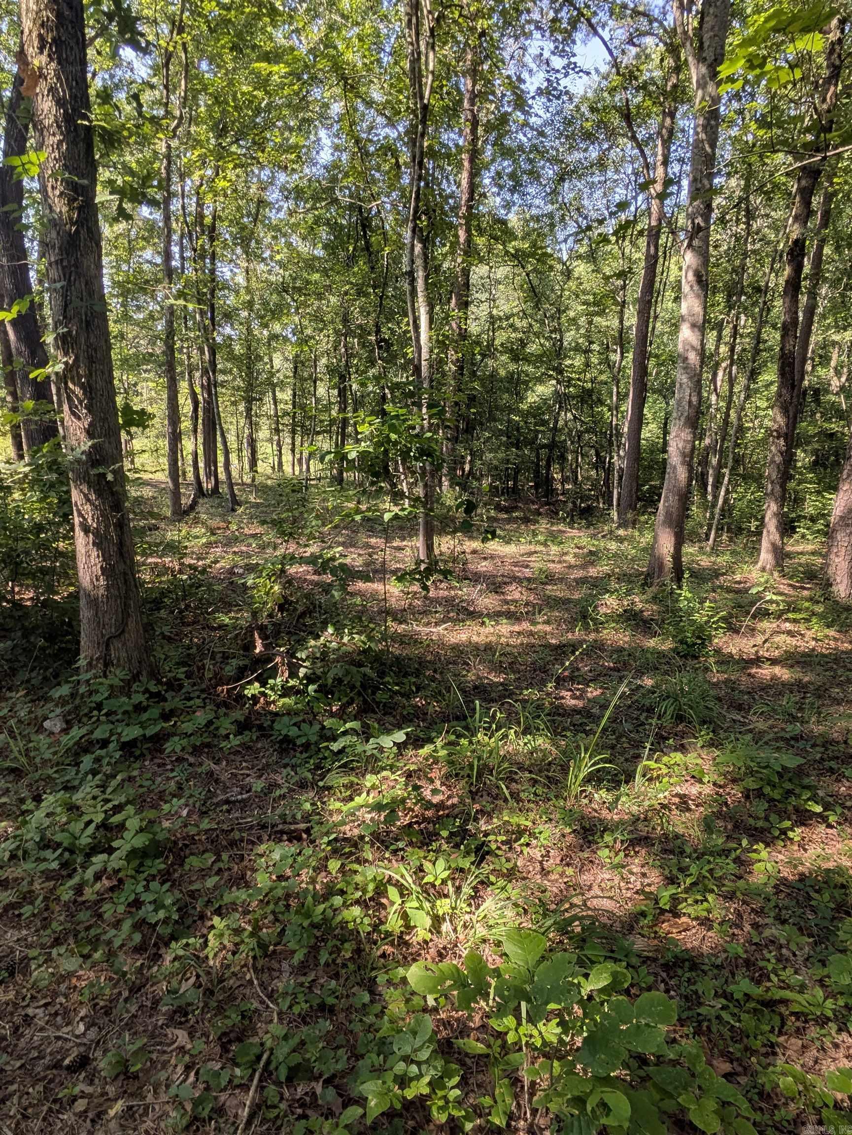 Ouachita Estates - Residential