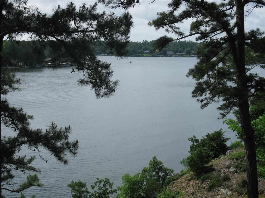 Lake Hamilton condo with great view and location & EVERYTHING included. You just need a toothbrush & sunglasses! This 2 bdrm/2 bath unit is fully furnished including 2 large flat screen TVs, all furniture, appliances, washer & dryer, a covered boat stall with lift and a nice barge & motor included. YES...A FREE PARTY BARGE WITH PURCHASE OF CONDO! There is a fireplace, a bar with icemaker, and a deck with a panoramic view of the main channel. This condo also has a covered parking space. Nice pool, too.