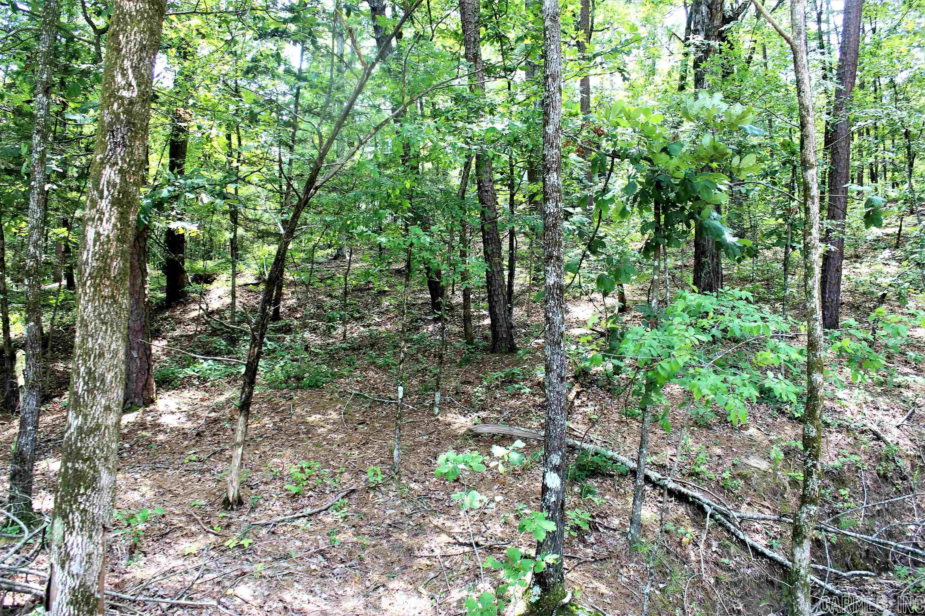 SCENIC PLACE - COVE CREEK - Residential