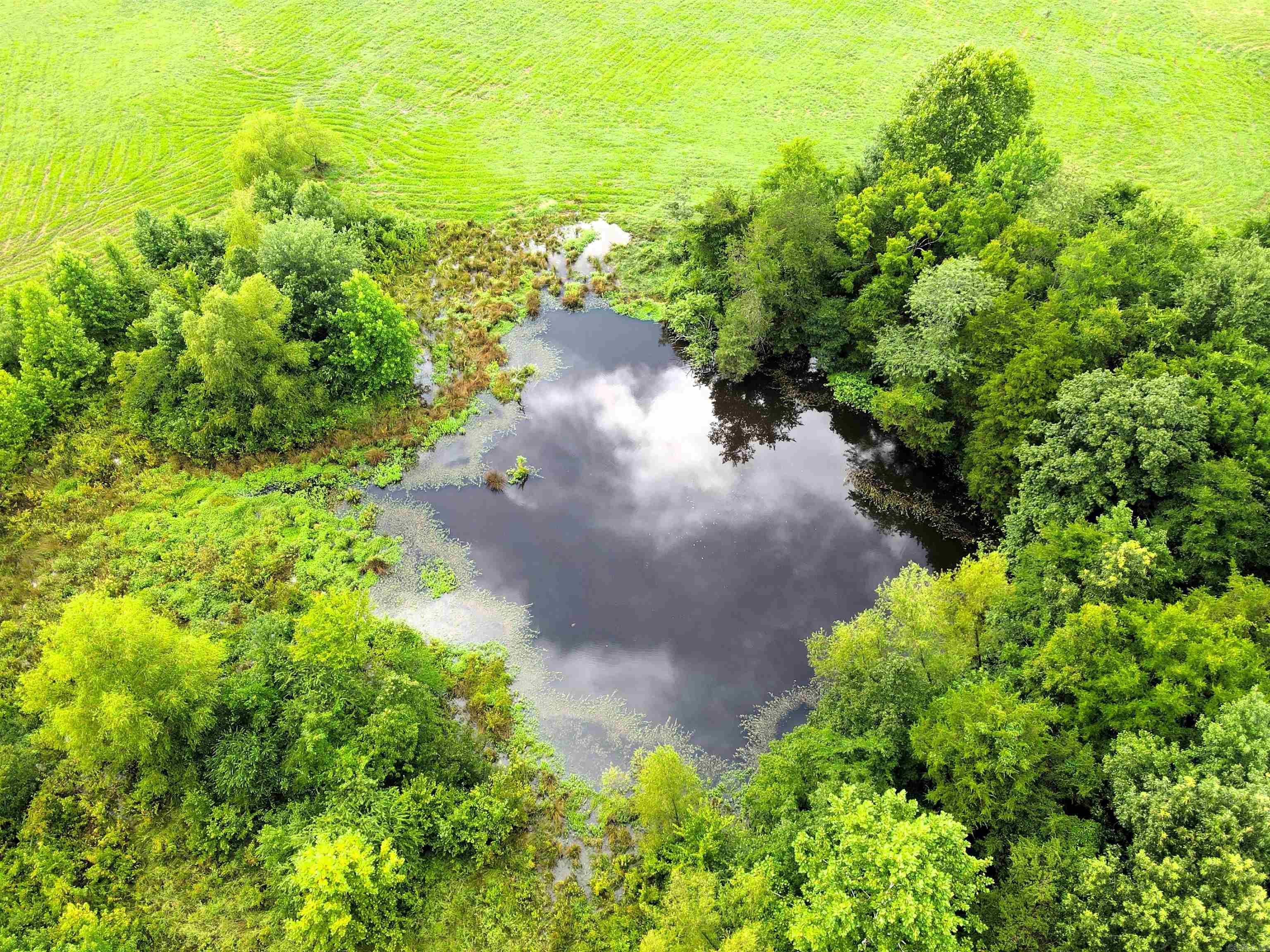 Not in Subdivision - Farm