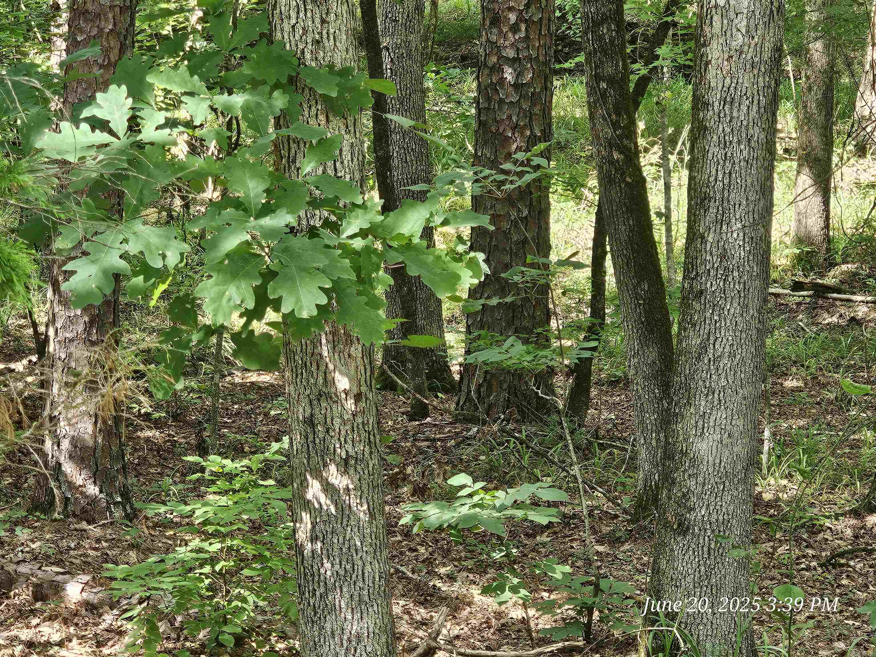 Nice downward sloped to level lot on the east side of the village. Located in a cul-de-sac with utilities present. There is a $300 buy-in fee for new members to HSV that's collected at closing.