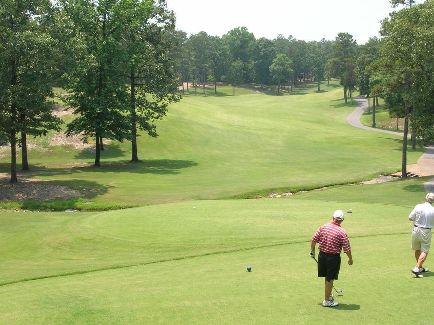 TERRIFIC GOLF FRONT LOT OVERLOOKING 18TH TEE OF ONE OF THE TOP 10 COURSES IN ARKANSAS BY GOLF DIGEST. JOHN DALY HIT THE FIRST SHOT WHEN IT OPENED RIGHT AFTER HE WON THE PGA CHAMPIONSHIP. BUILD YOUR DREAM HOME AND EASY ACCESS TO THE PRO SHOP & MULLIGANS RESTAURANT AT THE CLUBHOUSE. HOT SPRINGS VILLAGE OVERS 8 WORLD CLASS GOLF COURES, 11 LAKES, A MAJOR TENNIS CENTER, A PICKLEBALL COMPLEX WITH 14 COURTS, & OVER 30 MILES OF GROOMED NATURE TRAILS PLUS THE PONCE DE CENTER WHICH OFFERS PLAYS, CONCERTS & SYMPHONIES.