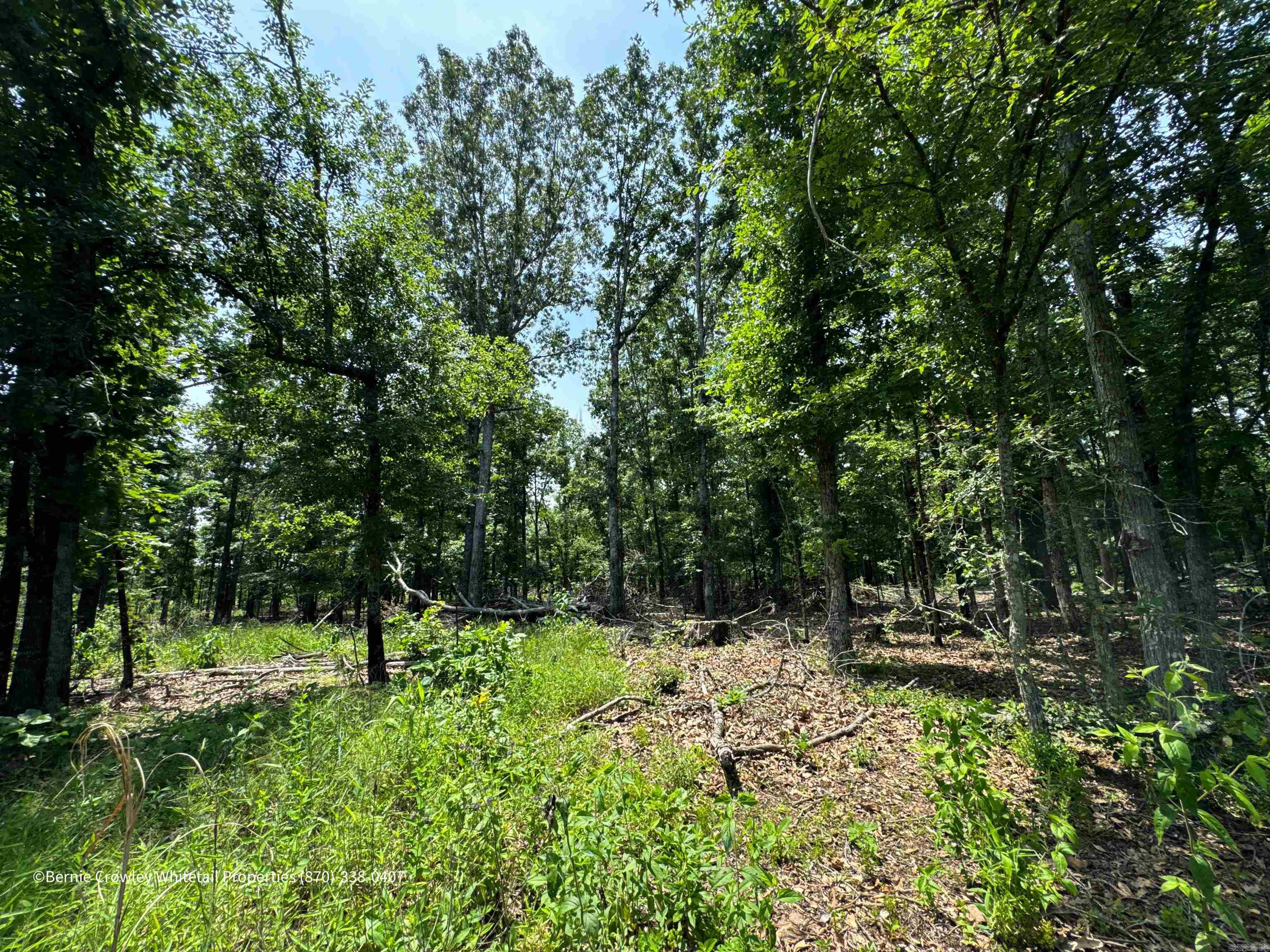 Metes & Bounds - Land