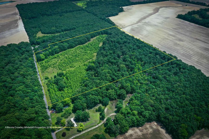 As the saying goes, dynamite comes in small packages.  This property is truly explosive offering an enormous amount of recreation and lifestyle in a budget friendly package.    Affordable, high quality wildlife properties can pull game from larger, fertile areas.  That is the case here as this property borders the 11,850-acre Pinetree Management area.  Properly managed, this property can pull game from an area much larger than the buyer has paid for.  As such, this property is a true bargain.  Great recreation, or homesteading, properties begin with quality soils. In this case, the soils are all silty loams that could support your vegetable crops, or your wildlife herd.  Building opportunities are obvious as the property borders SFC Road 134 and access to major utilities are readily available.  This property is a great opportunity to build the off the beaten track lifestyle you want-without being too far from the beaten track.   Owner plans to retain approximately two acres.