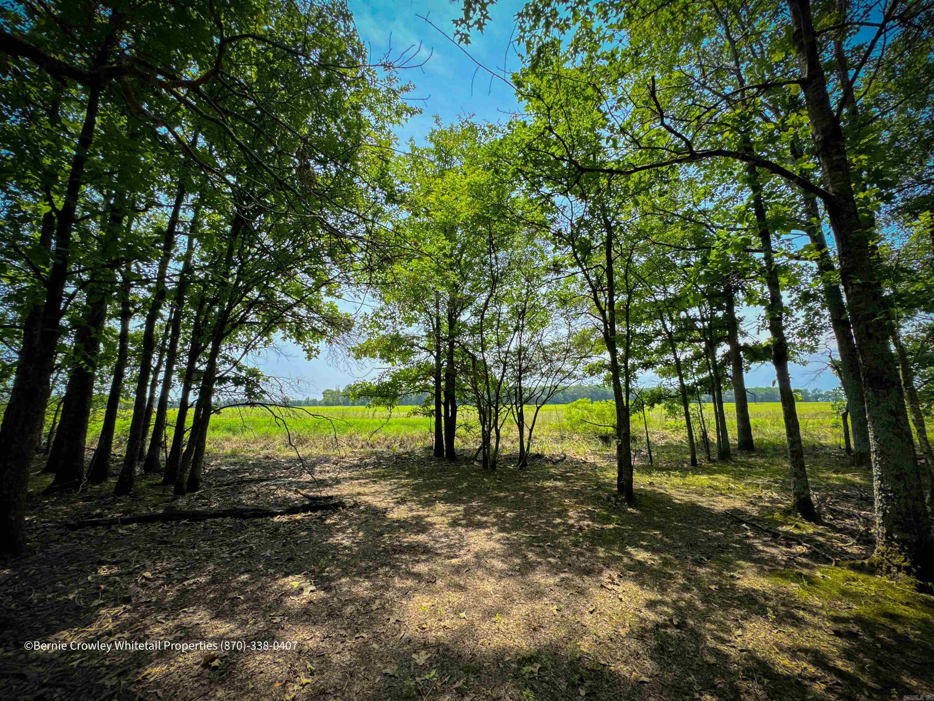 Metes & Bounds - Land