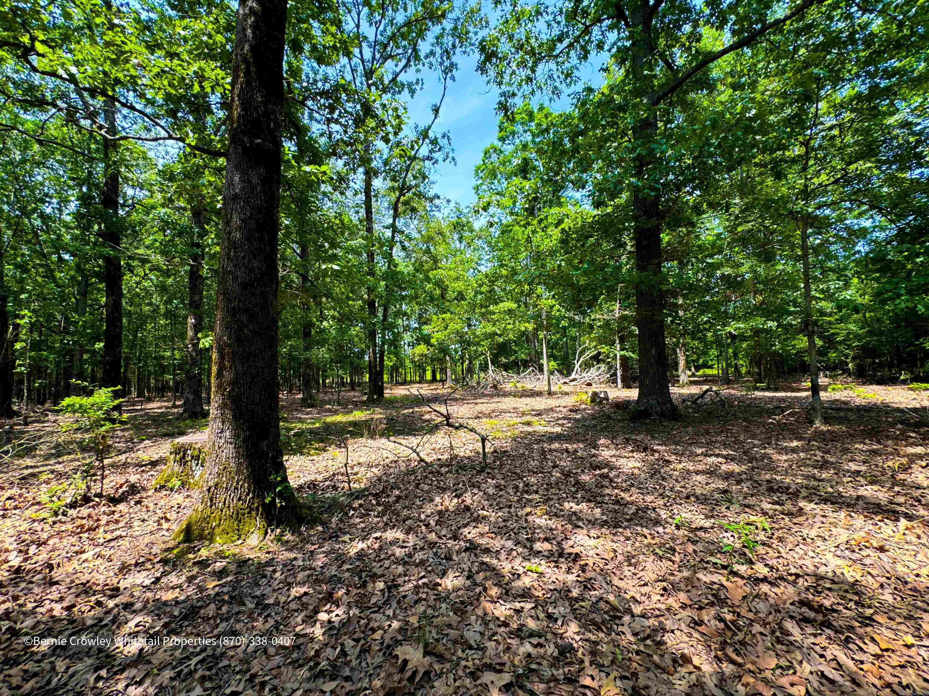 Metes & Bounds - Land