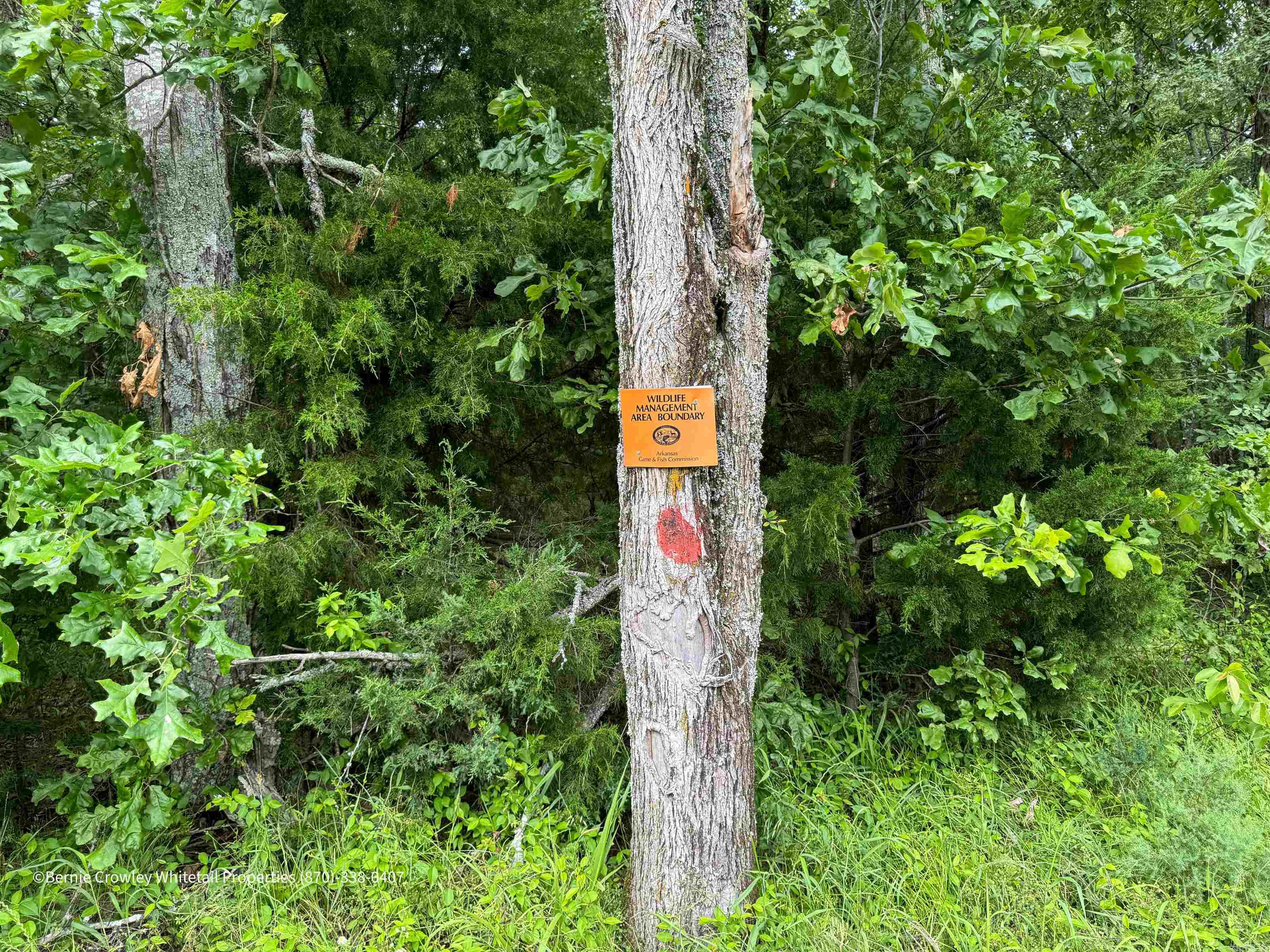 Metes & Bounds - Land