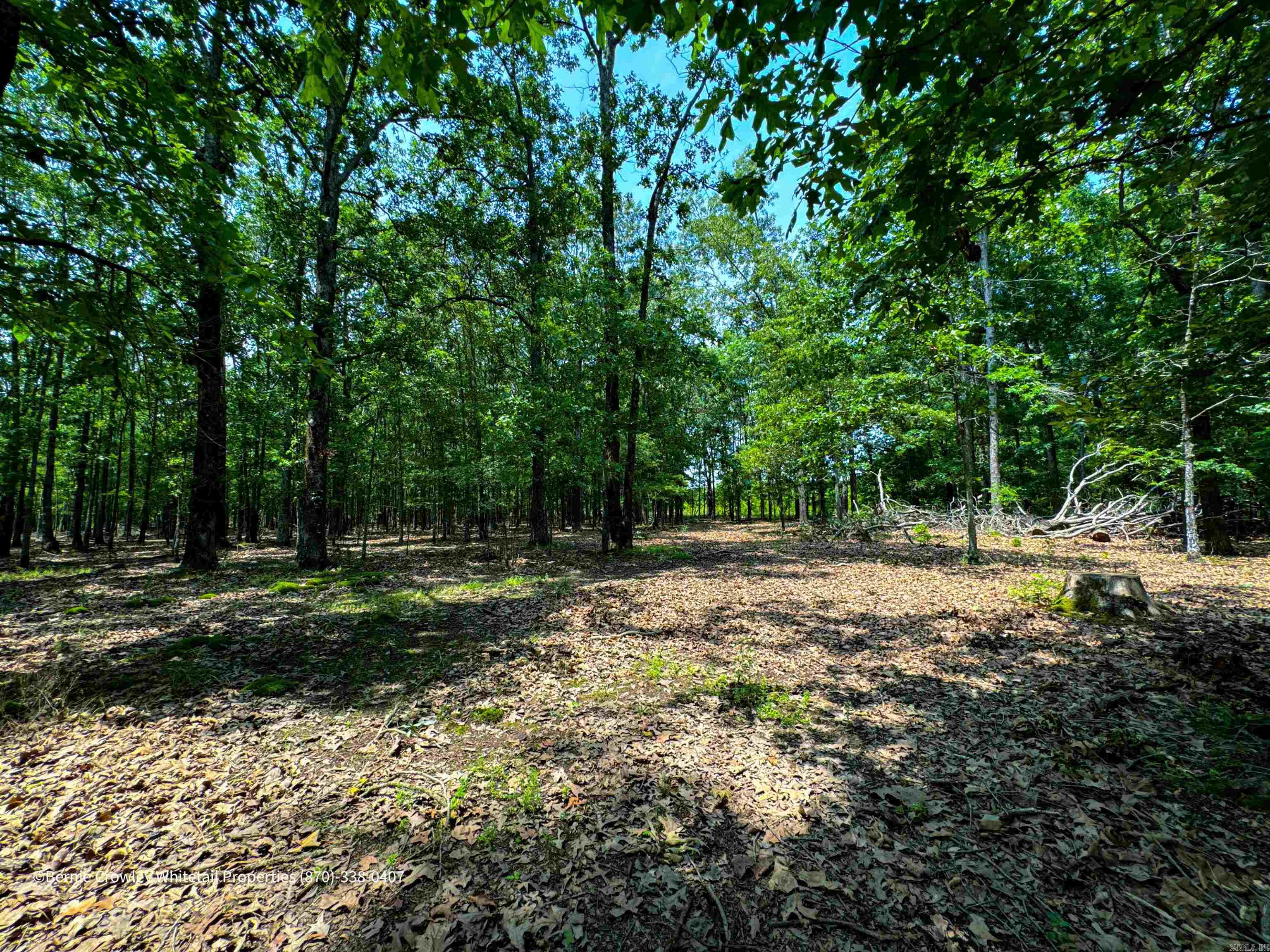 Metes & Bounds - Land