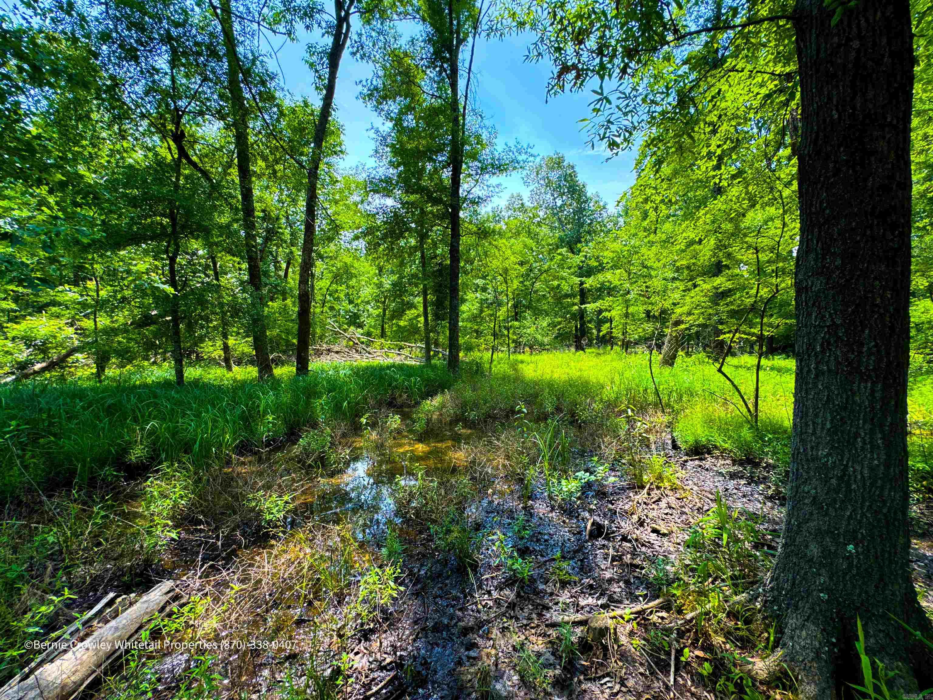 Metes & Bounds - Land