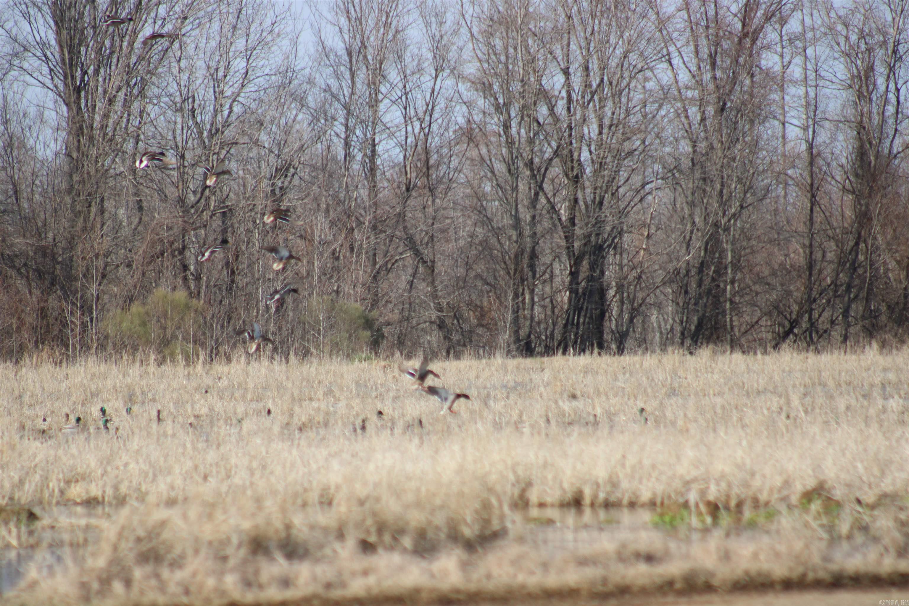 Not in Subdivision - Land