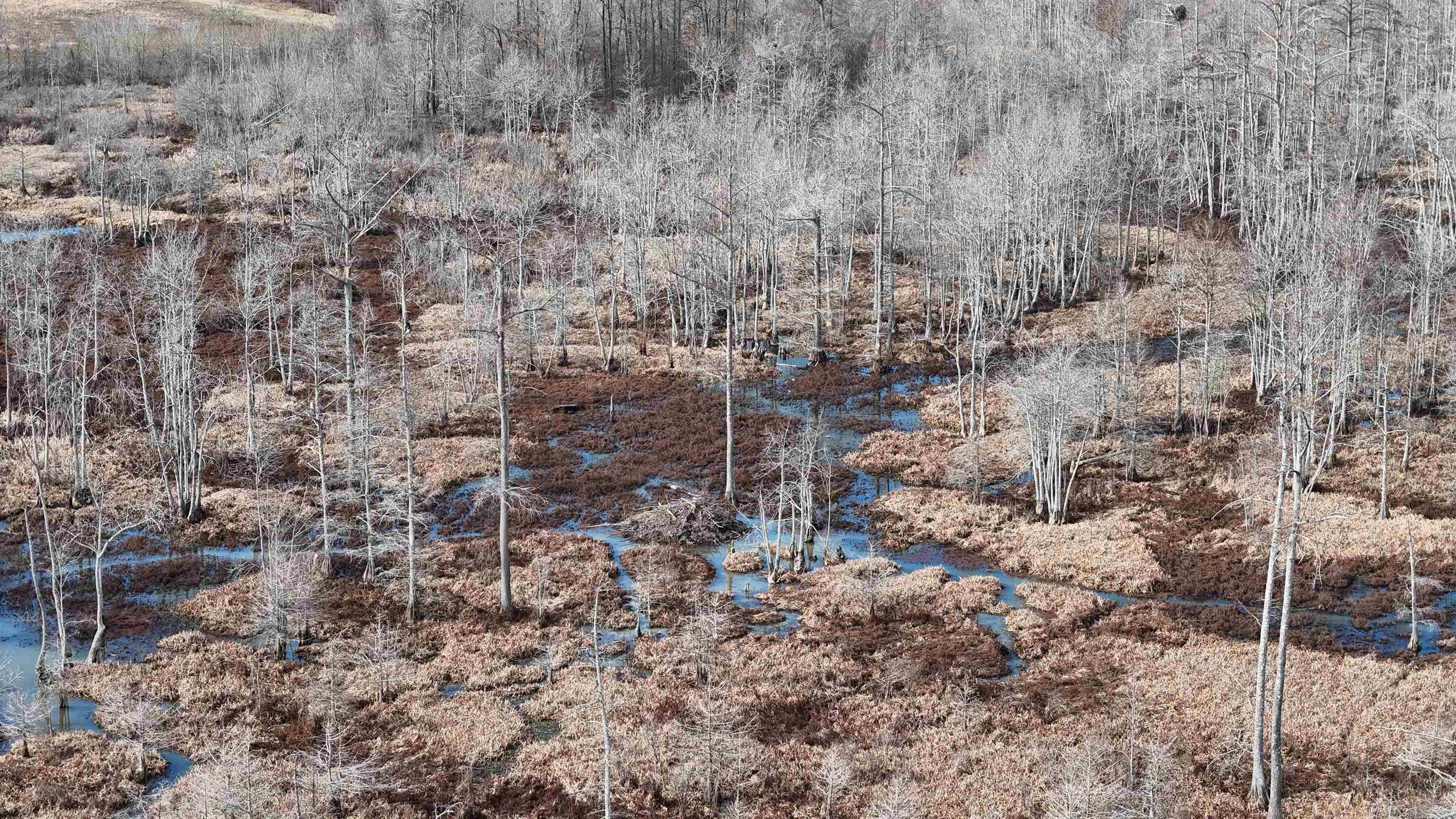 Not in Subdivision - Land