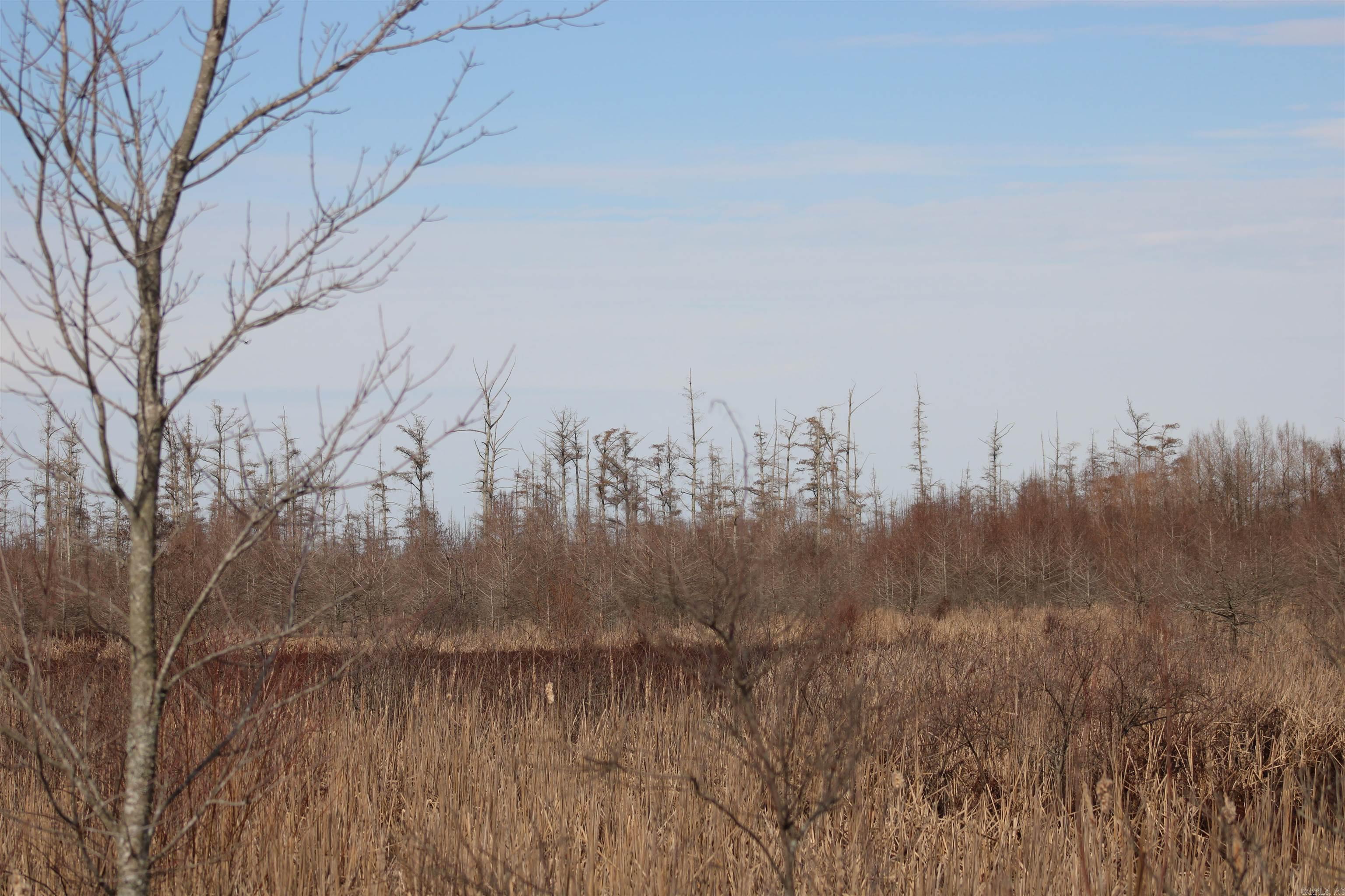 Not in Subdivision - Land