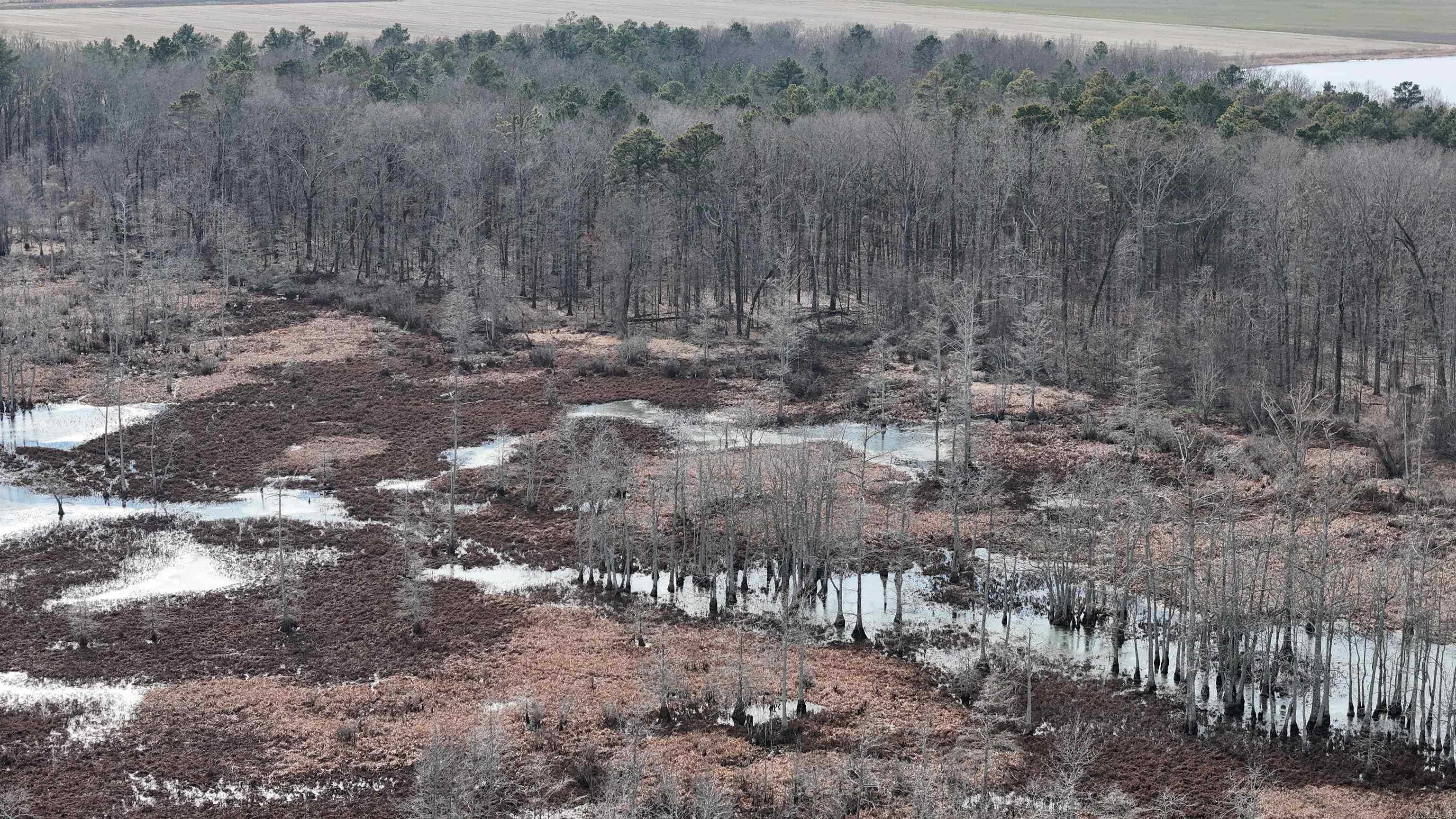 Not in Subdivision - Land