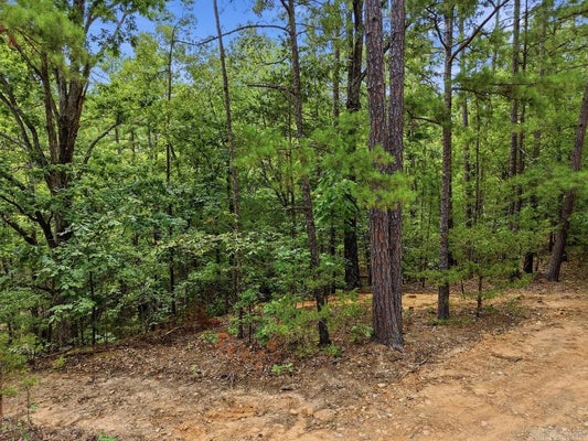 29 JERRY LN, QUITMAN, AR 72131 - Image 416d64f7c6f8e7d4f785c04fa93cc02b/1702299328
