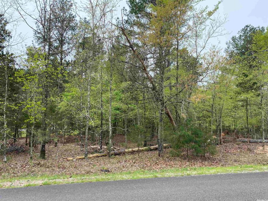 Located at the 3rd hole of Nina, this large level Isabella Golf Course lot would be the perfect spot to build your dream home!