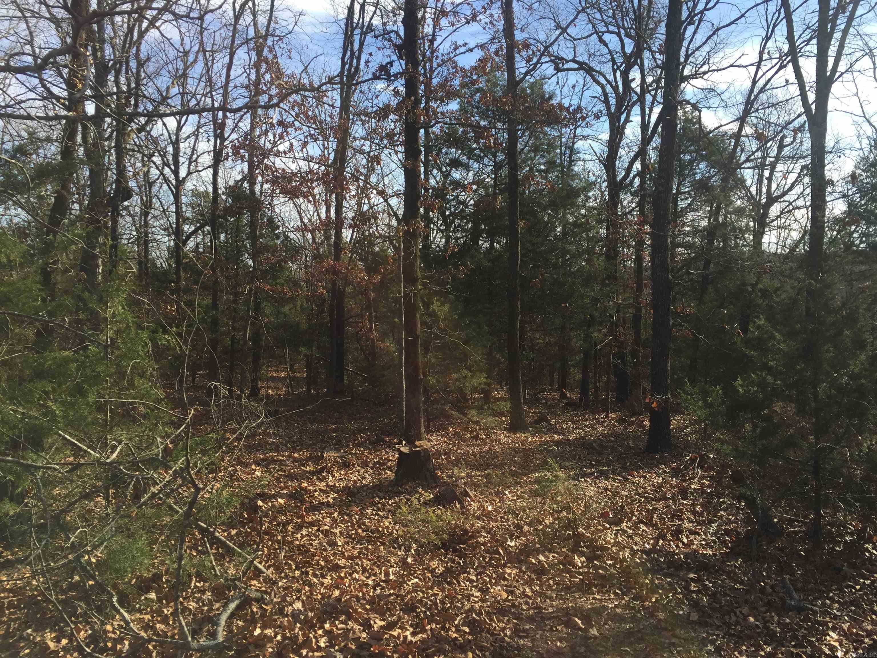 Beautiful wooded and open area with a rock bottom creek that makes a fork on the property. The property has access from hyw 36 and multiple locations on St Marys lane. This is almost 18 acres with city water can be split up. See attached survey. This property has no restrictions