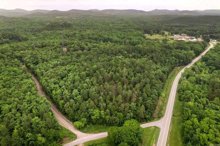 Stunning property perfect for building your dream home. Easy commute into Little Rock, just a short 25 minutes. Utilities are at the road. Lots of hardwoods. Property has road frontage on three sides: Hwy 9, Mount Ida Rd, and Nelson Rd. ***Possible Owner Financing***