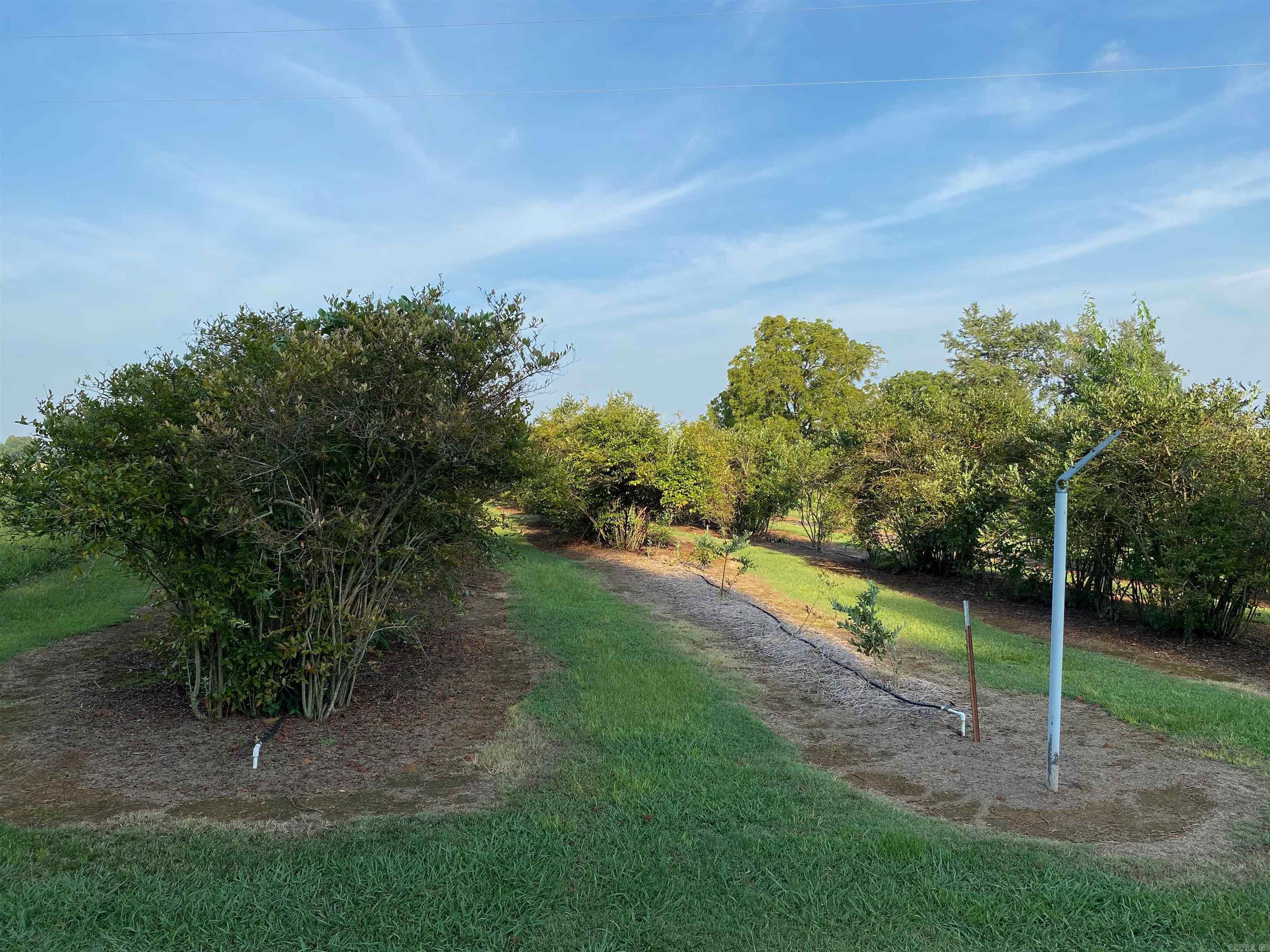 Metes & Bounds - Farm