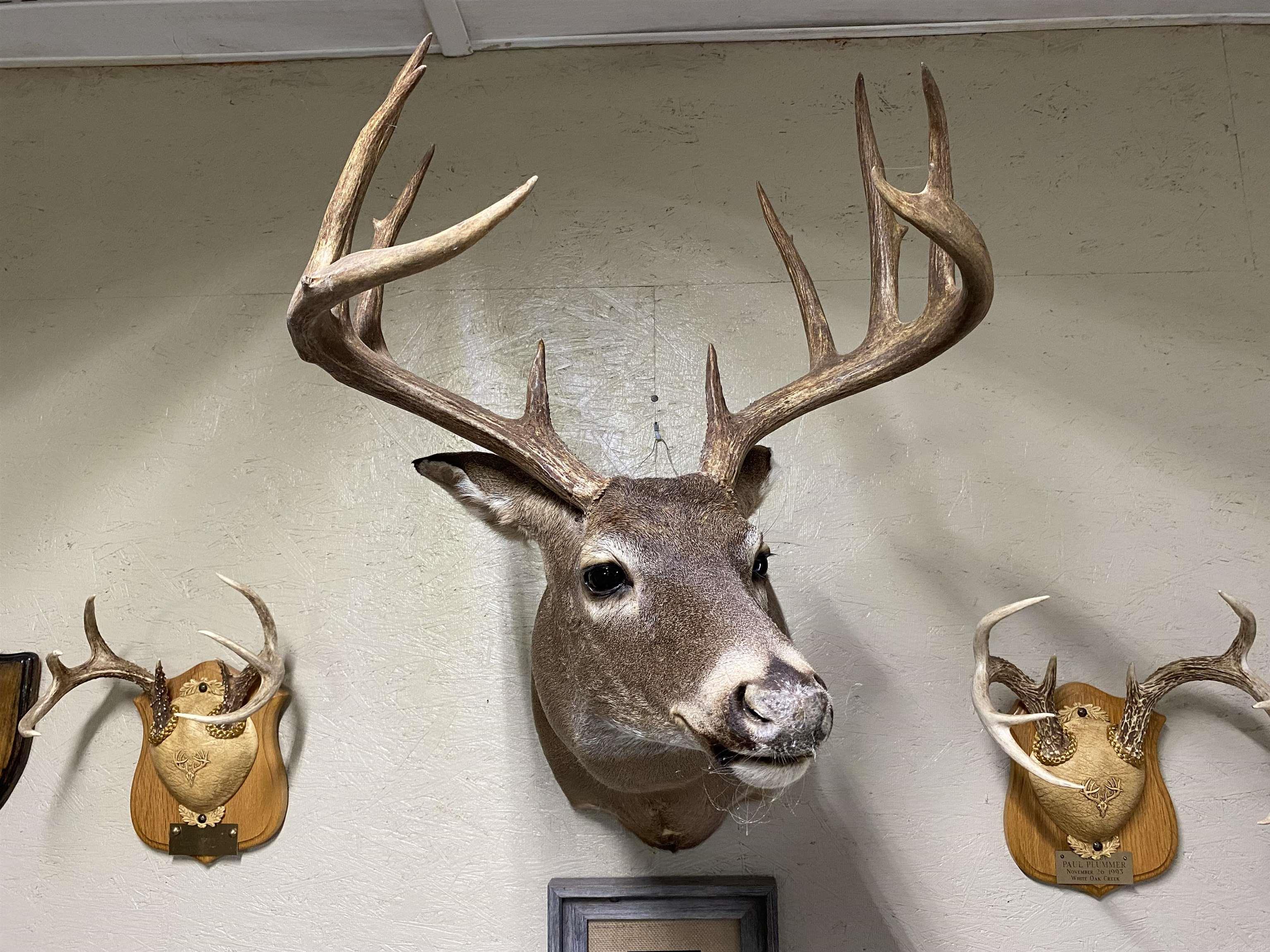 Metes & Bounds - Farm