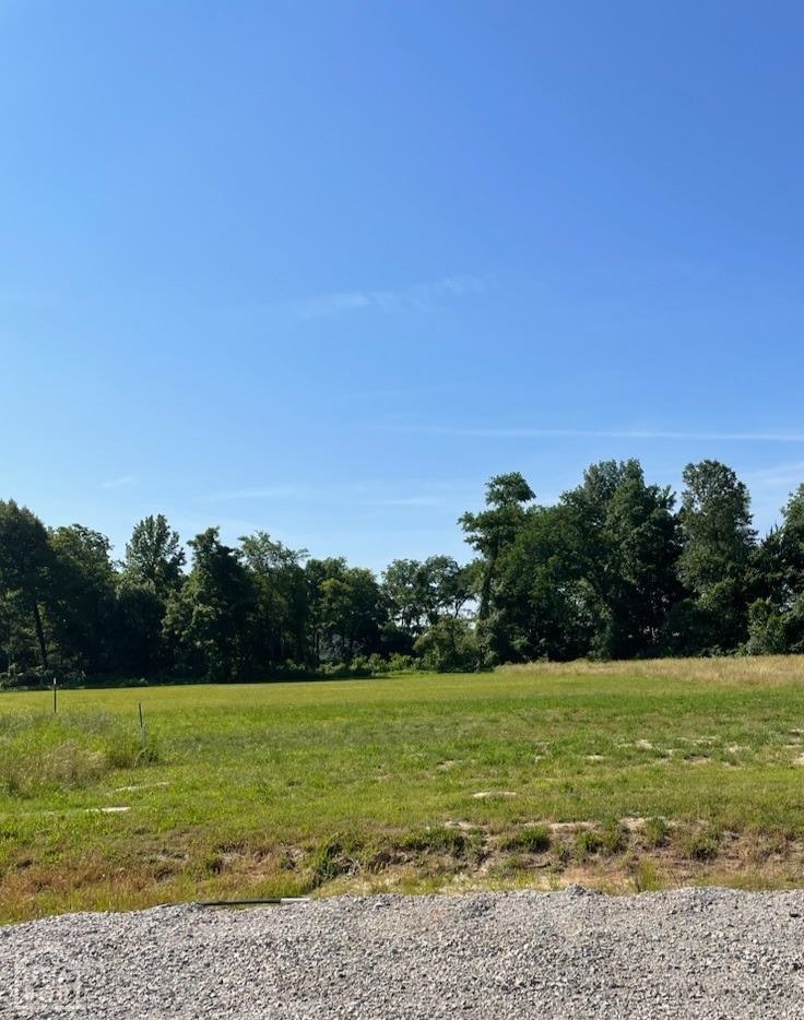 Beautiful level lot to build the home of your dreams. Located in Brookland School District, the lot offers citer water and Craighead electric.