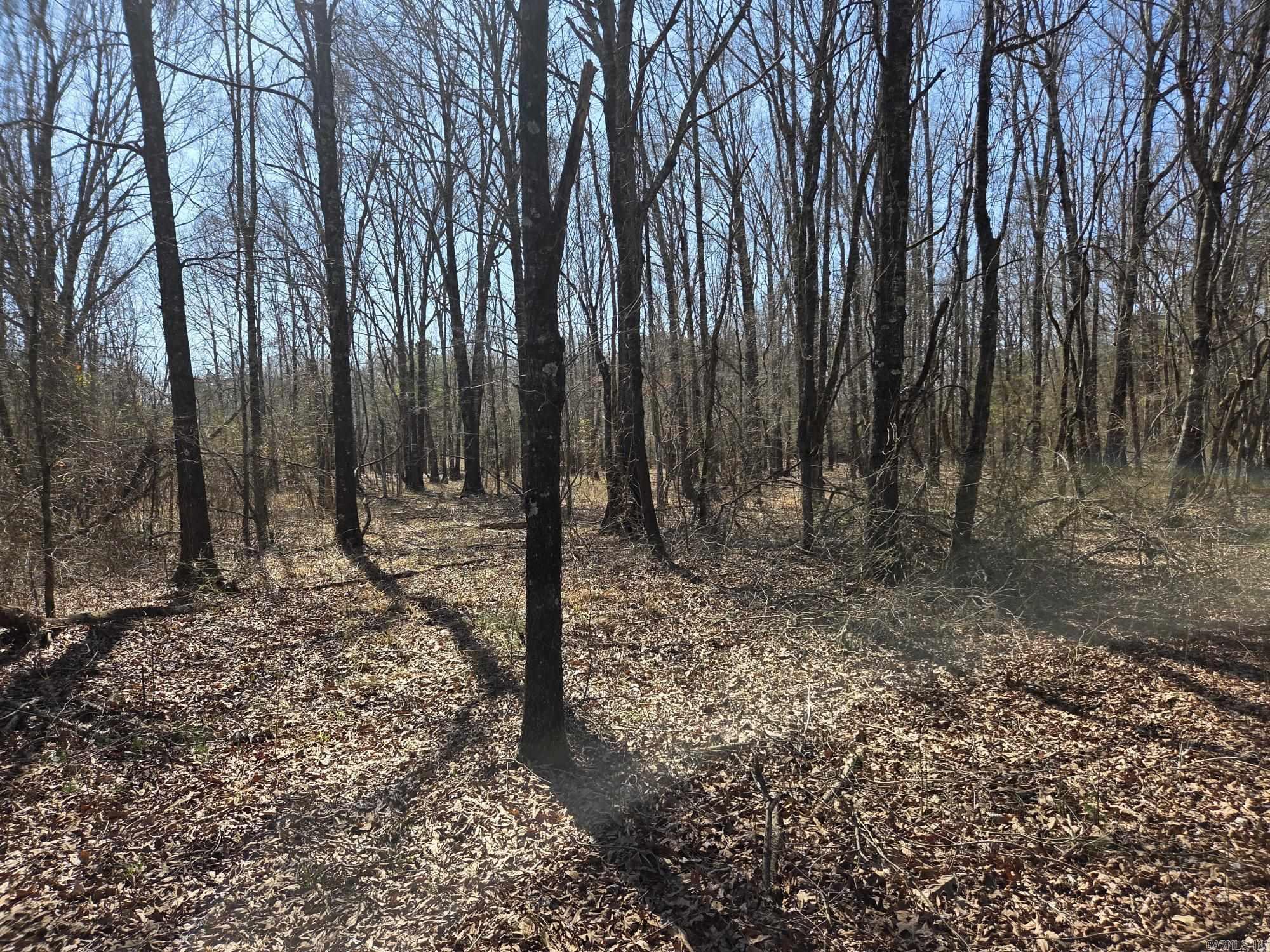 Not in Subdivision - Land