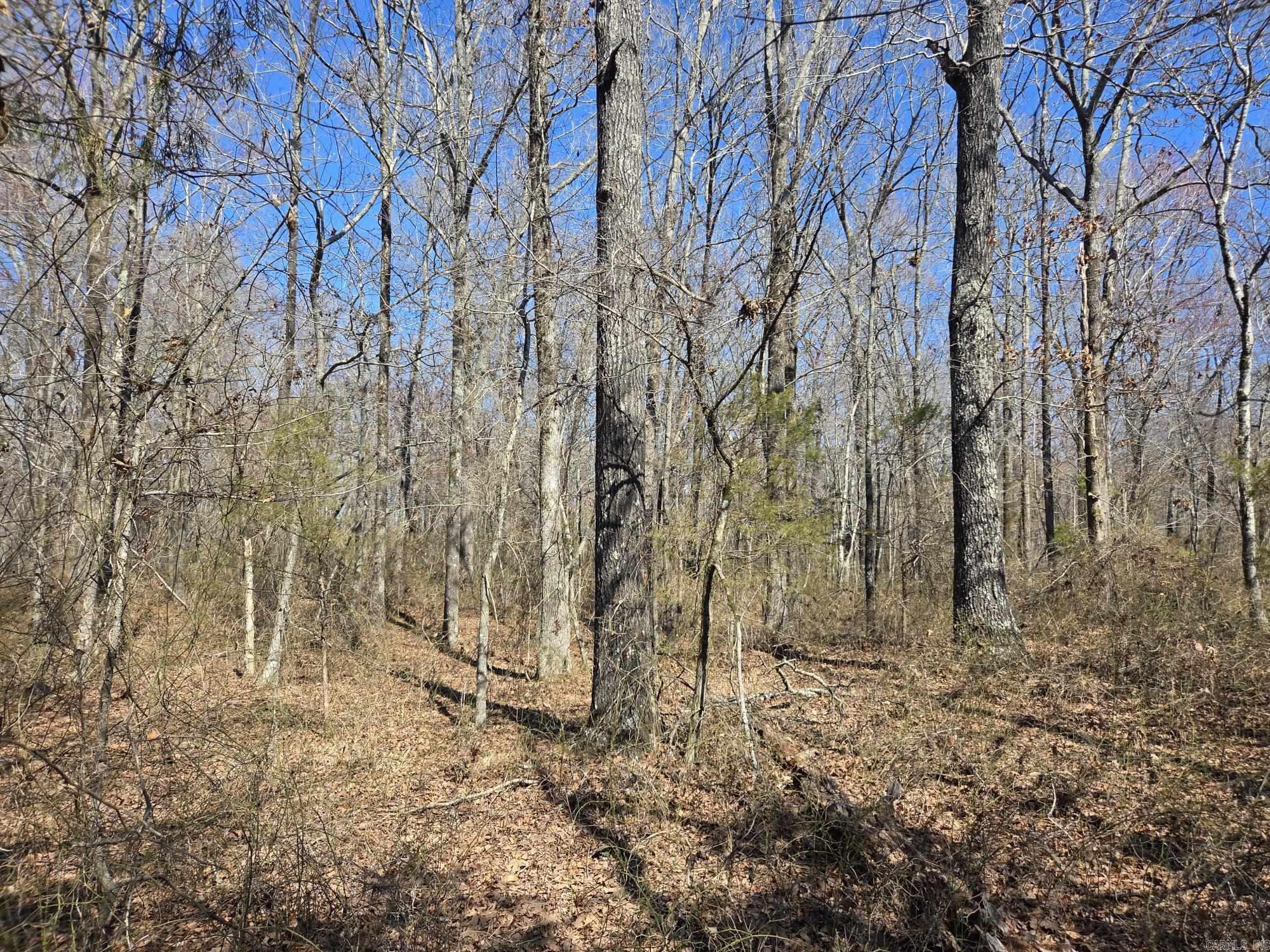 Not in Subdivision - Land