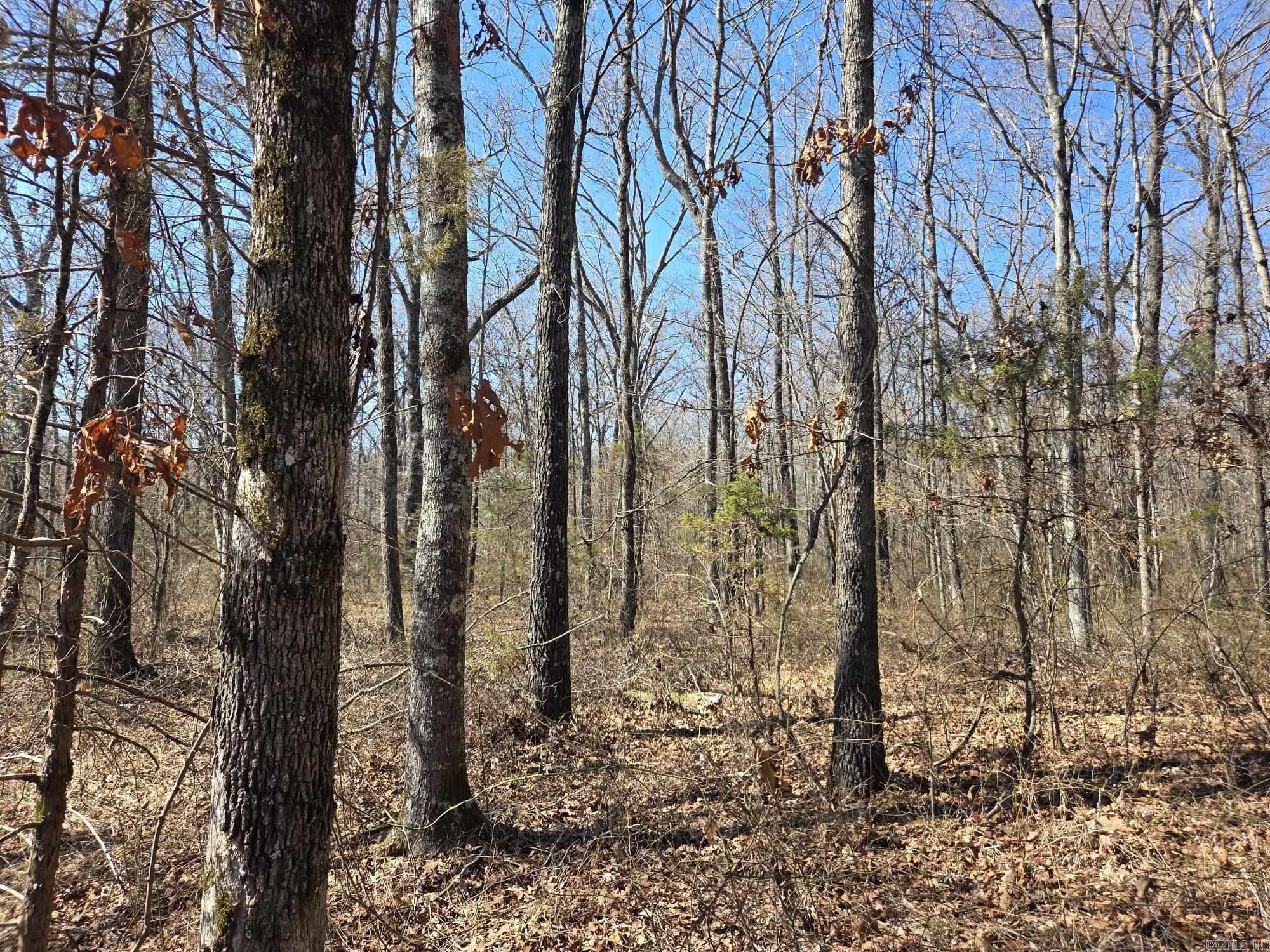 Not in Subdivision - Land