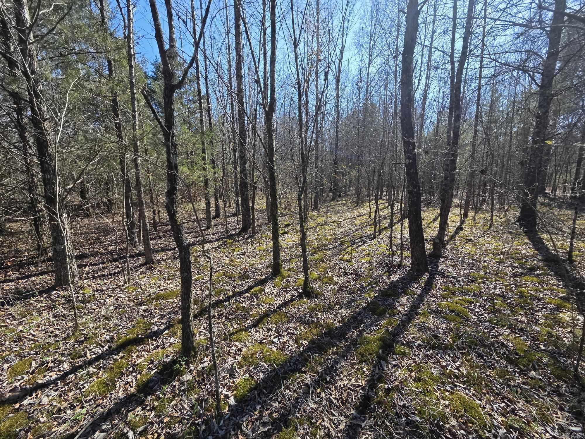 Not in Subdivision - Land