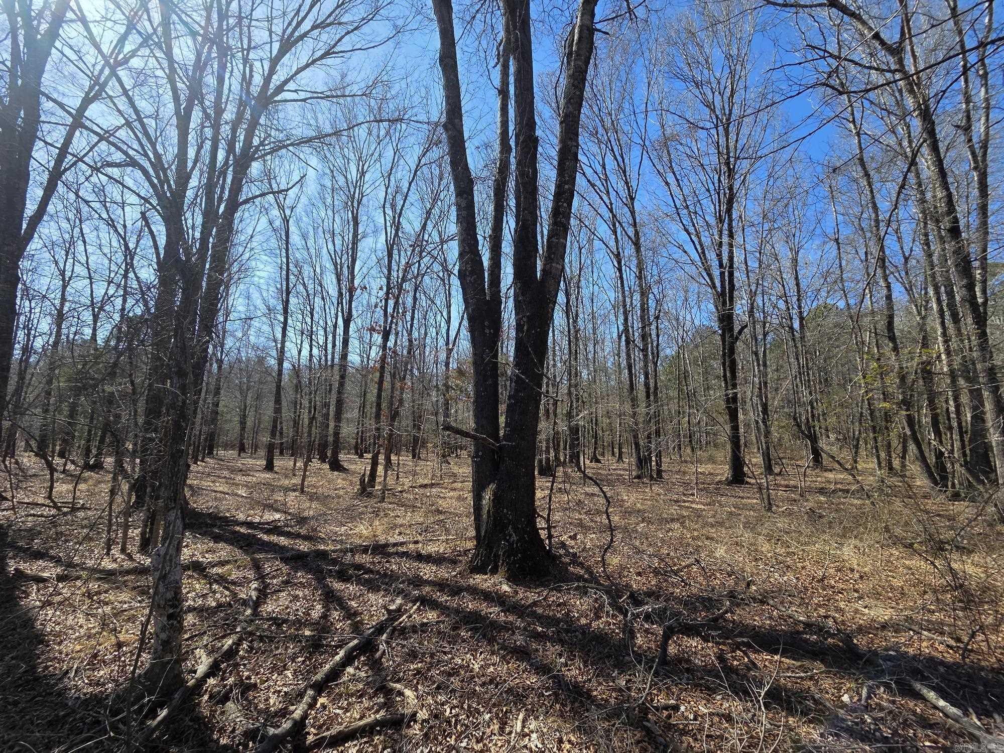 Not in Subdivision - Land