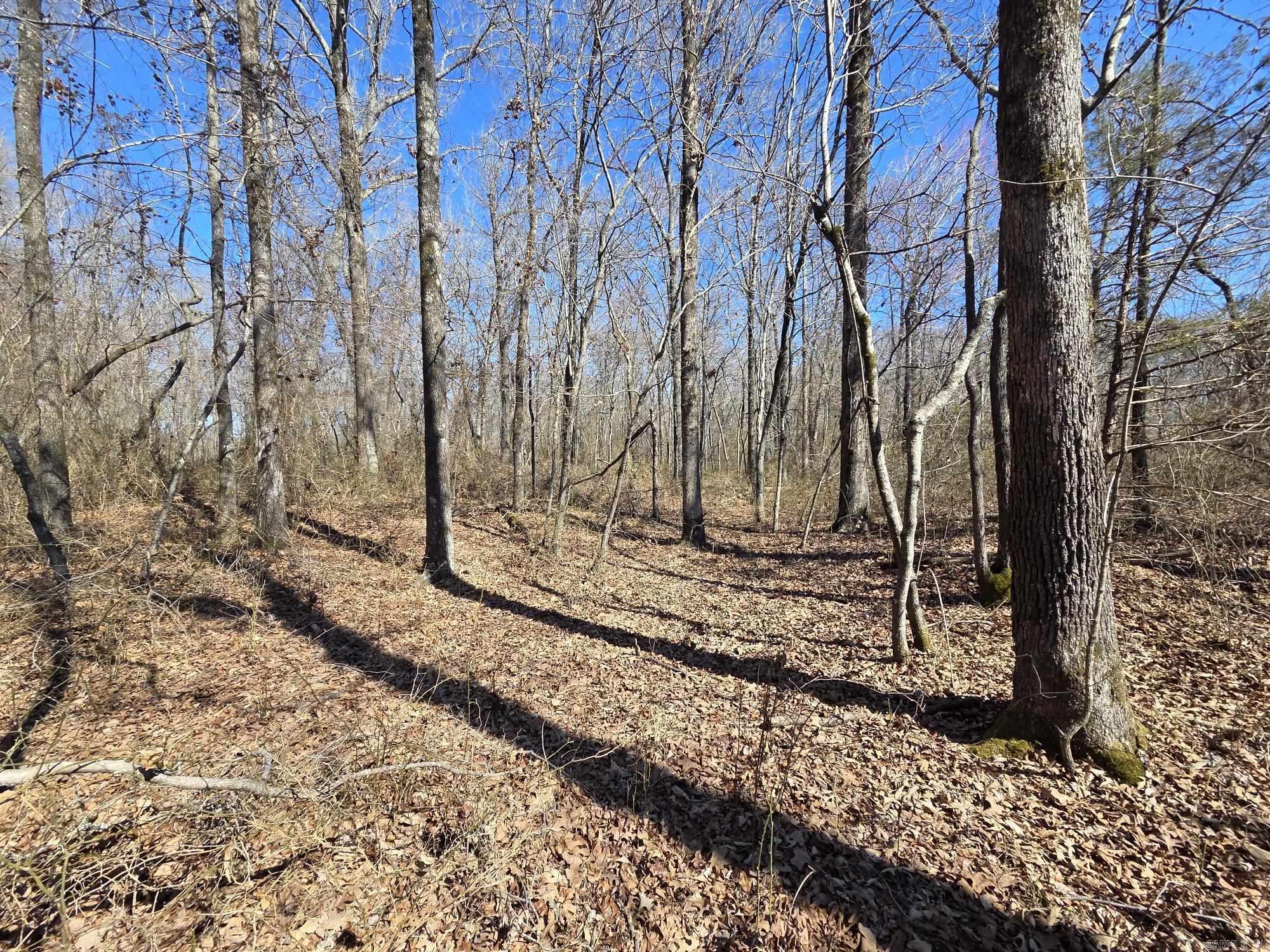 Not in Subdivision - Land