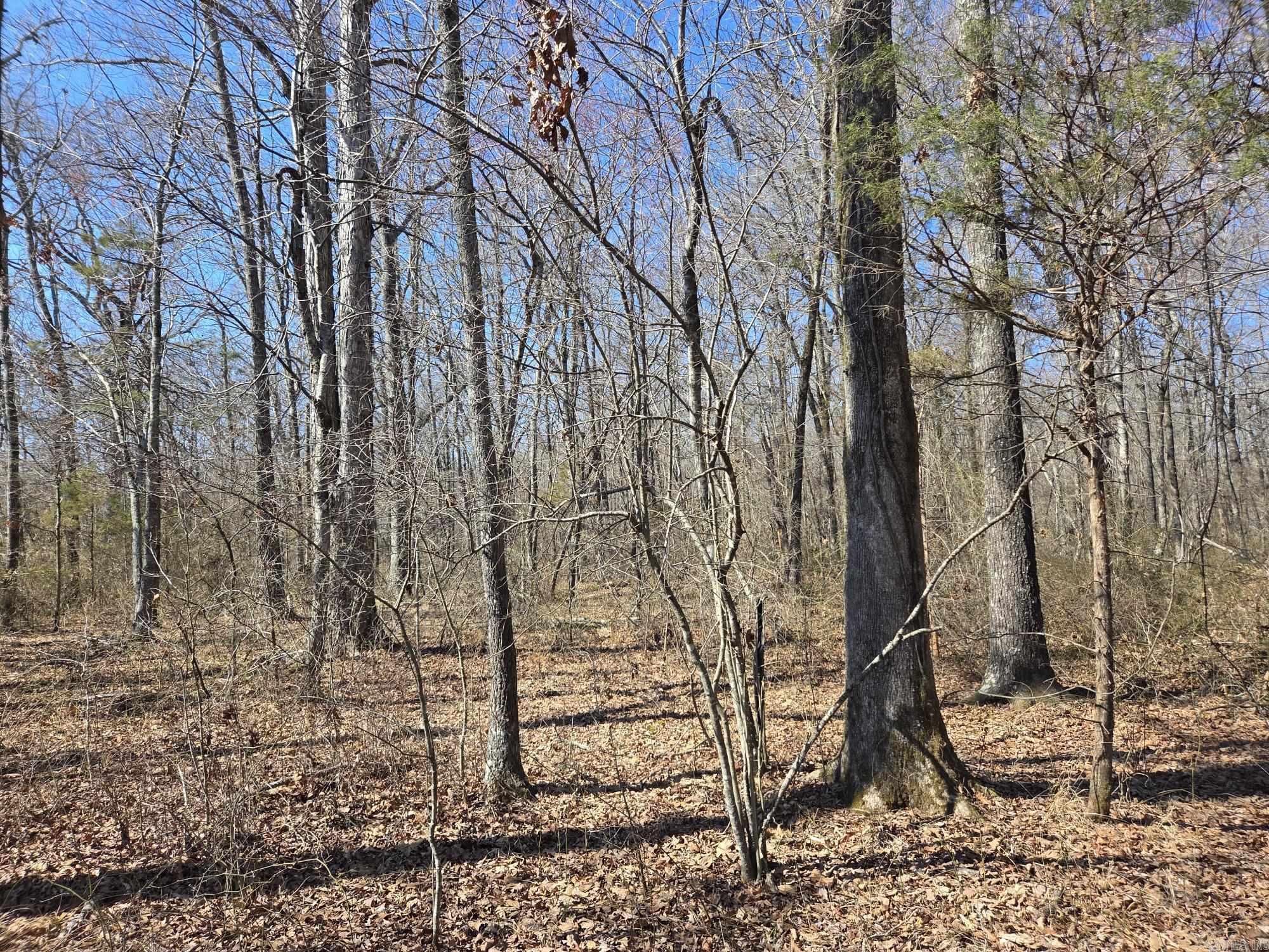 Not in Subdivision - Land