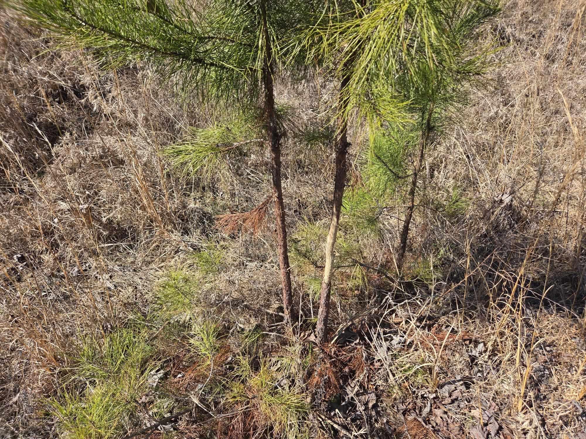 Not in Subdivision - Land