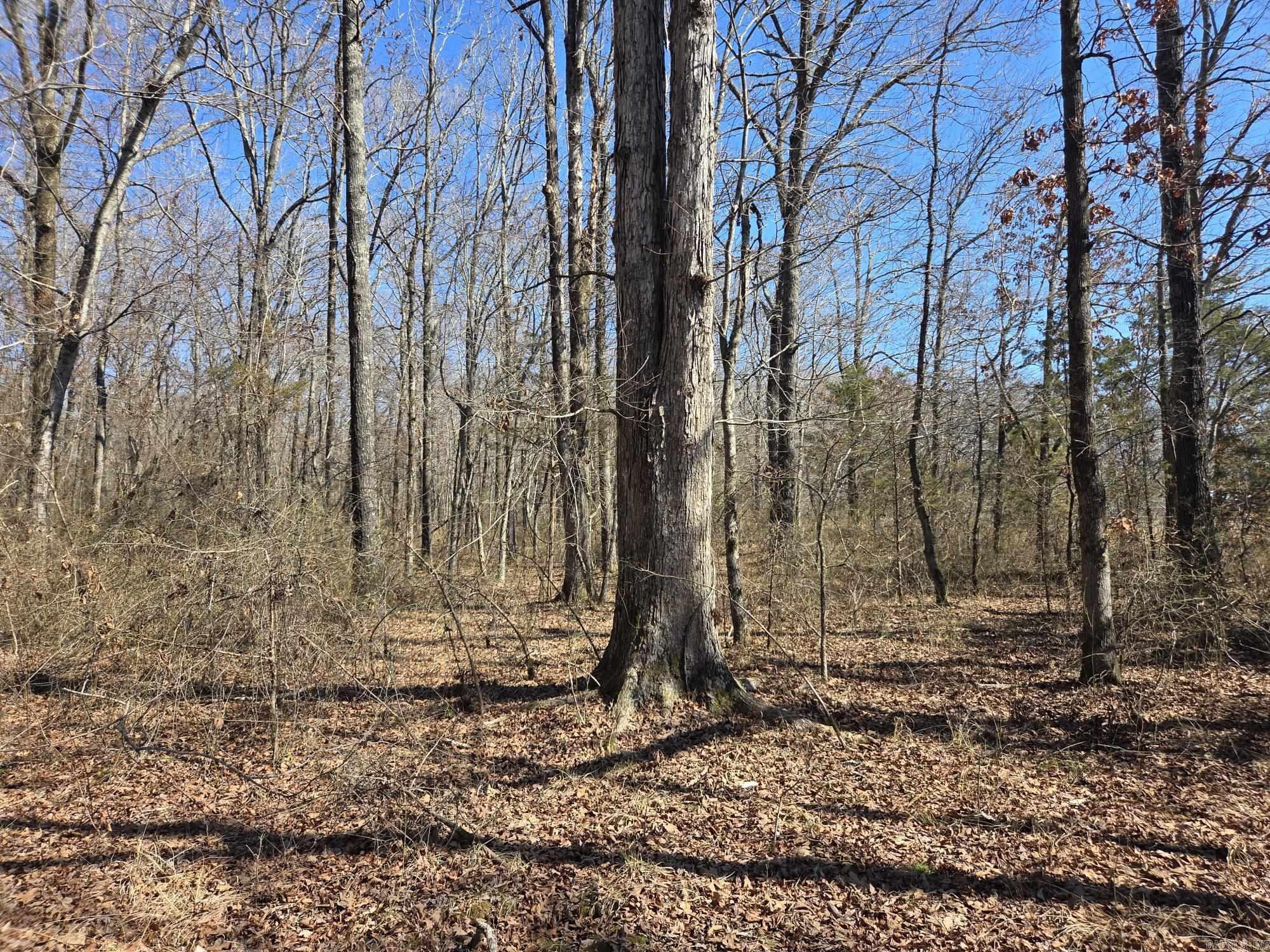 Not in Subdivision - Land