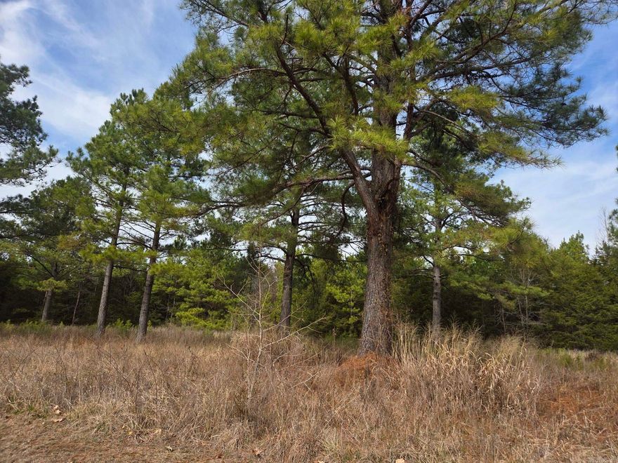 Forty-acre square tract of mostly wooded land just northwest of Searcy. Good recreational land that has wildlife & may can be developed. There is a gas pad on the property & it currently has a locked gate access of a gas pad entrance off Foster Chapel Rd. Must have real estate agent meet with key to access the property.