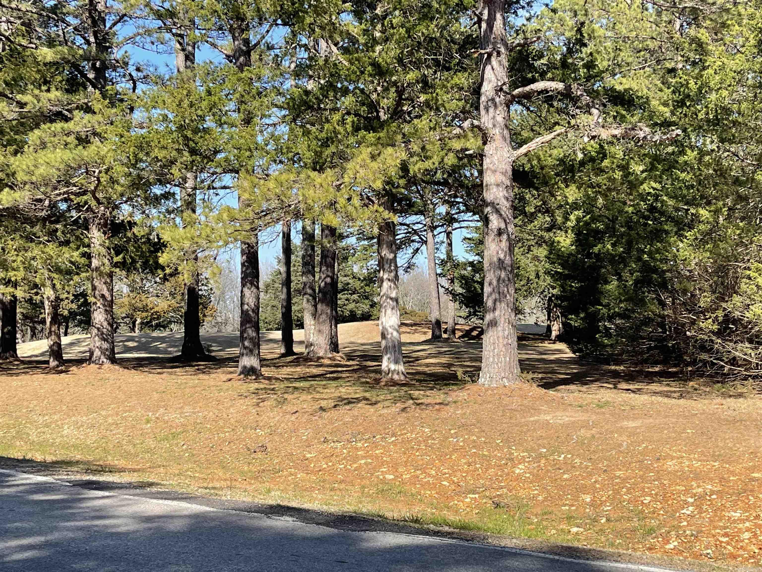 Mountain Ranch - Land