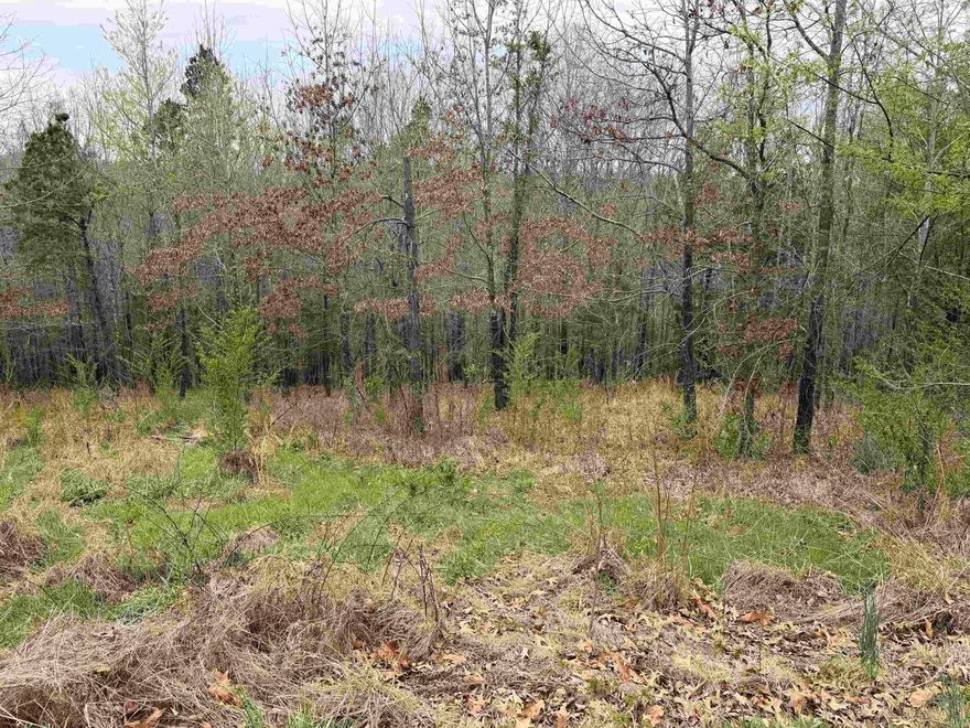 This 0.70-acre lot is located in a newer subdivision on the Mountain View golf course and is inside city limits, offering both convenience and a great neighborhood setting. Surrounded by beautiful homes, this property provides a peaceful place to build a custom home in one of the area’s most desirable communities. Enjoy easy access to town, local attractions, and outdoor recreation, all while living in a quiet, well-maintained area. A great opportunity to secure a lot in a growing part of Mountain View.