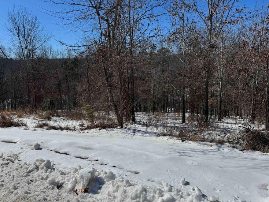 This 0.70-acre lot is located in a newer subdivision on the Mountain View golf course and is inside city limits, offering both convenience and a great neighborhood setting. Surrounded by beautiful homes, this property provides a peaceful place to build a custom home in one of the area’s most desirable communities. Enjoy easy access to town, local attractions, and outdoor recreation, all while living in a quiet, well-maintained area. A great opportunity to secure a lot in a growing part of Mountain View.