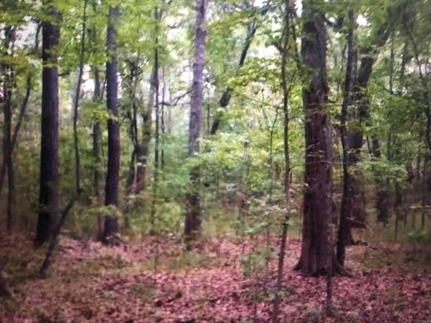 Great acreage for potential subdivision, corner of General Samuels and Harris Road. Close to LRAFB, schools, shopping, etc. Developers check this out!