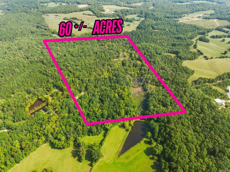 60 acre retreat/hunting property in Fountain Lake area. Great place to get off the grid, and still be close to all the convenience of civilization. Turn key one room cabin with bathroom, solar power, split unit AC/Heat, well, septic, porch overlooking year-round Lockett Creek. Lots of wildlife including deer, turkey, waterfowl, black bear, etc. Price includes a well maintained dozier to work the land. More pictures to follow.