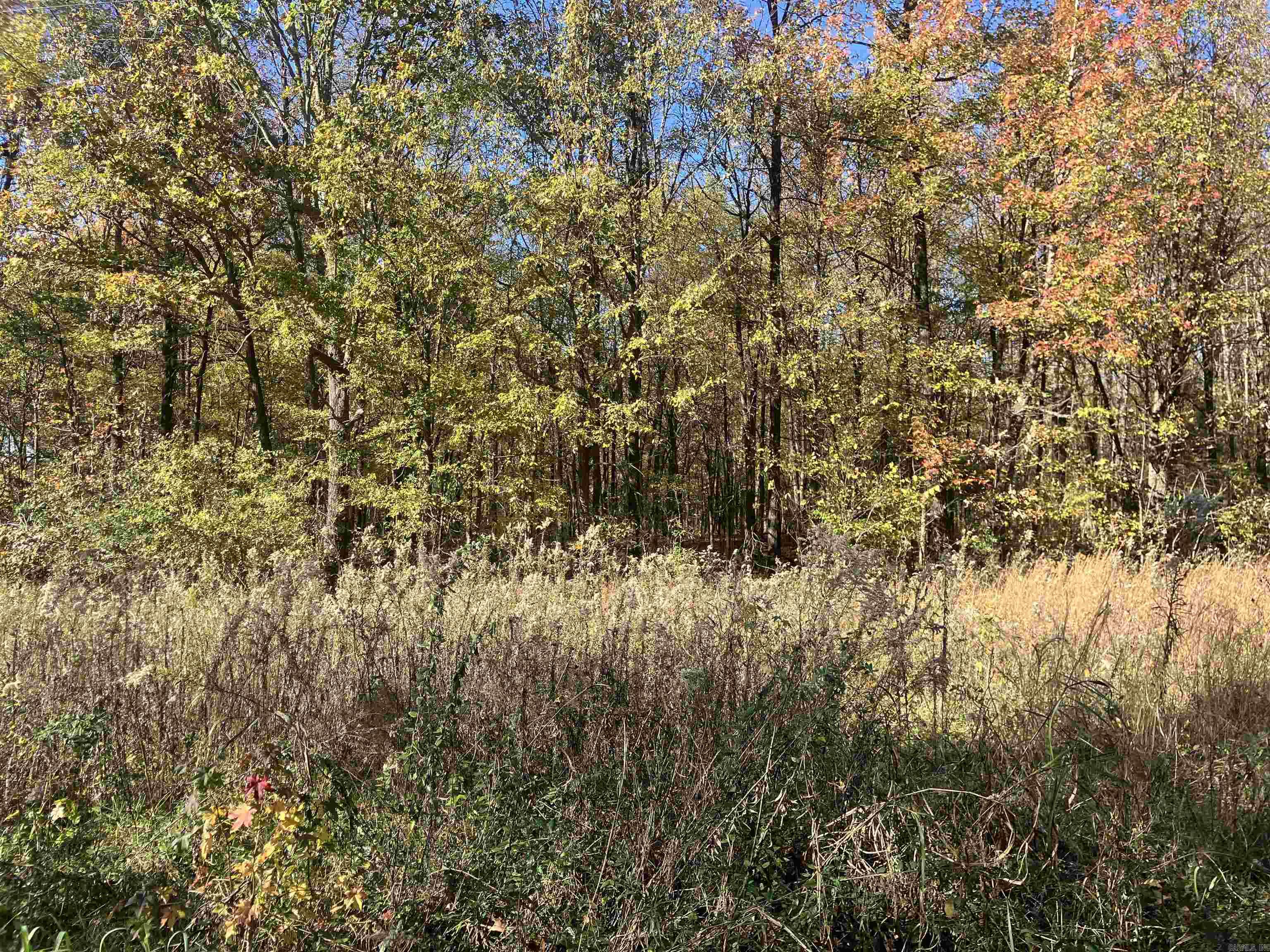15 acres of timber with paved road access on CR 431 between Piggott and Pollard.